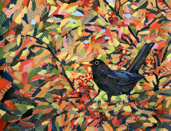 Autumn blackbird